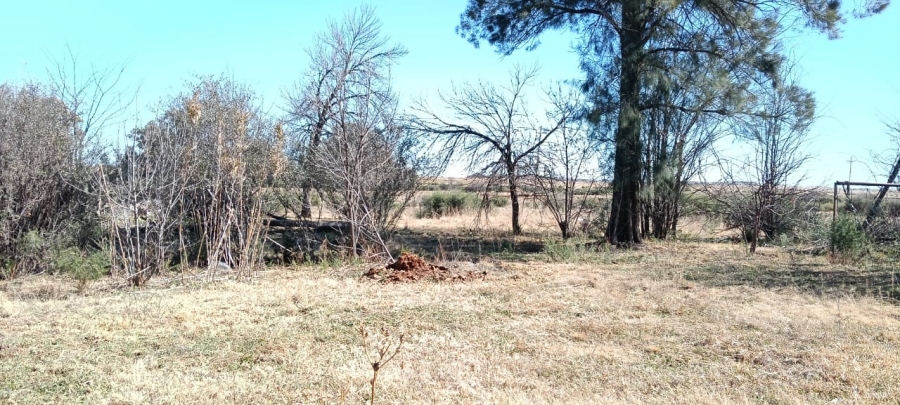 5 Bedroom Property for Sale in Edenburg Free State